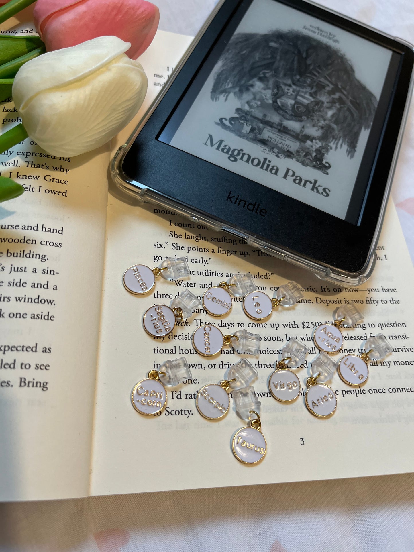 Star Sign Dust Plugs