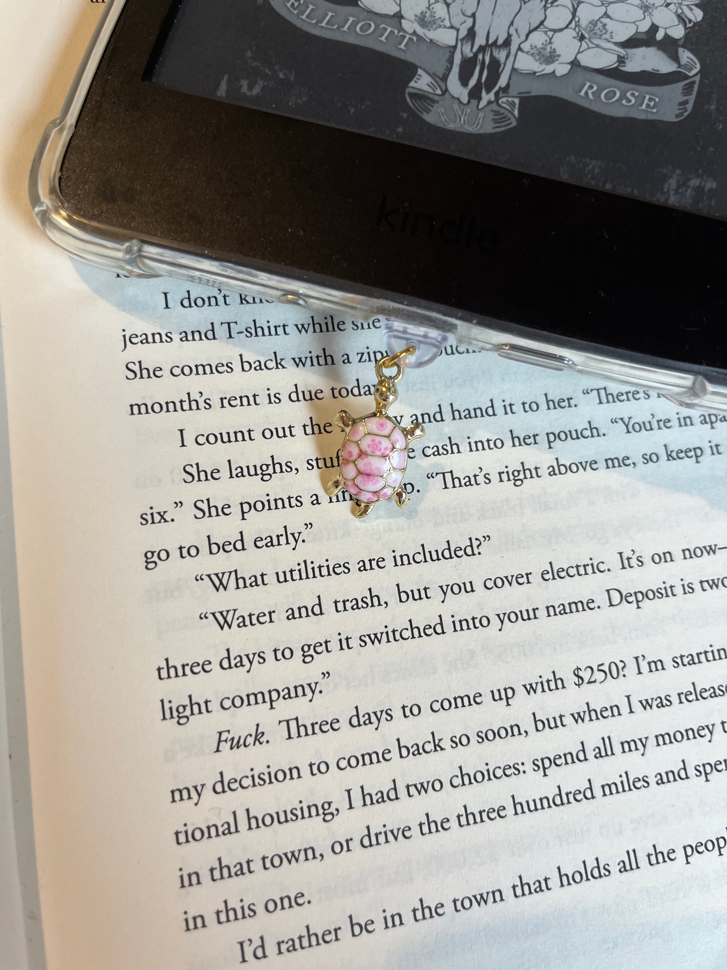 Pink turtle kindle dust plug