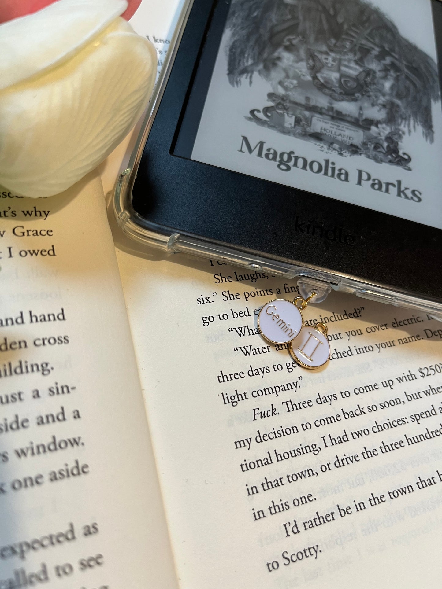 Star Sign Dust Plugs
