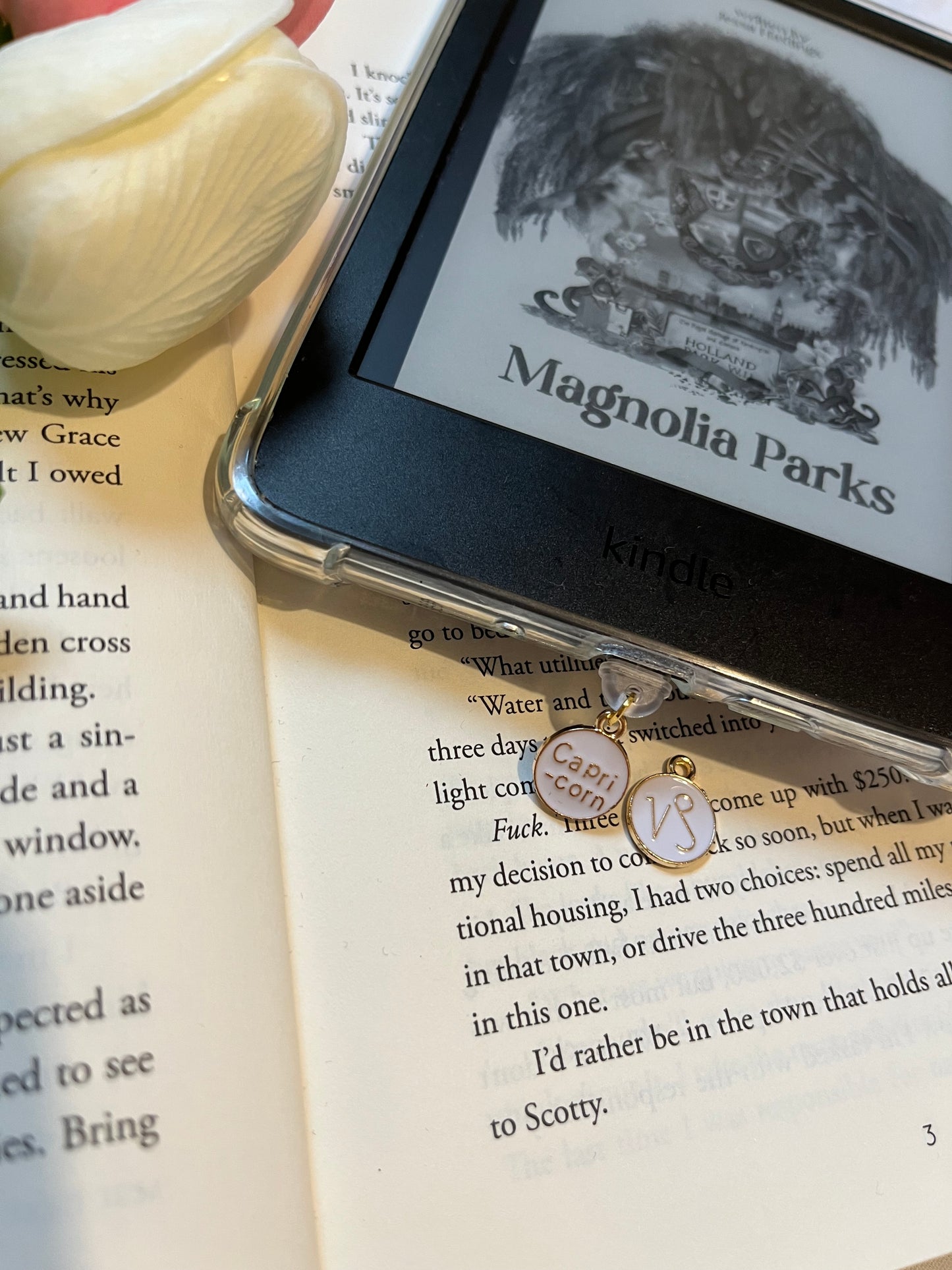 Star Sign Dust Plugs