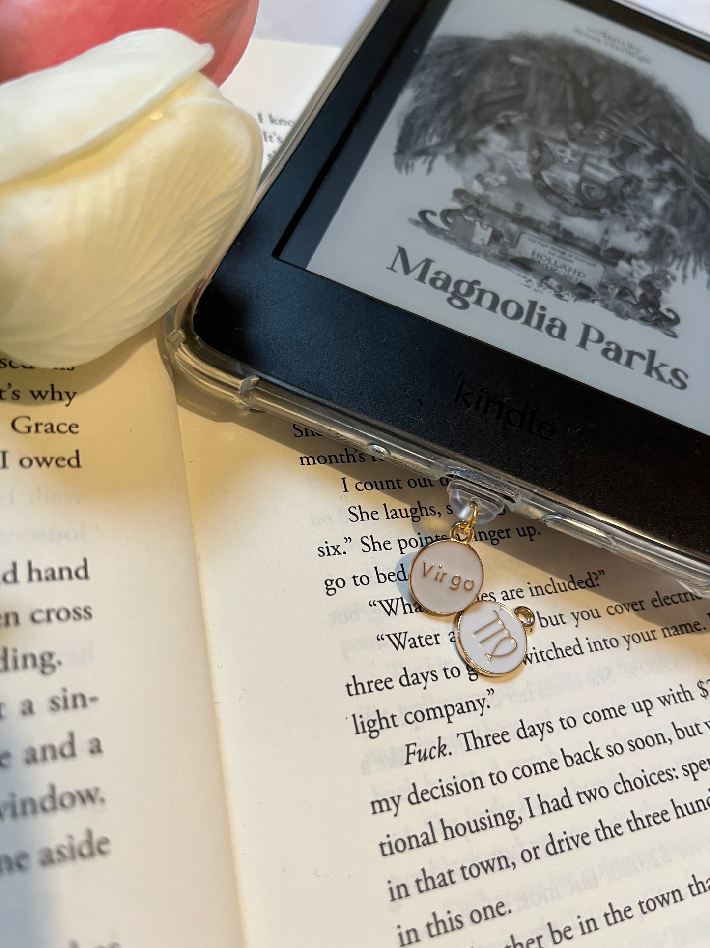 Star Sign Dust Plugs