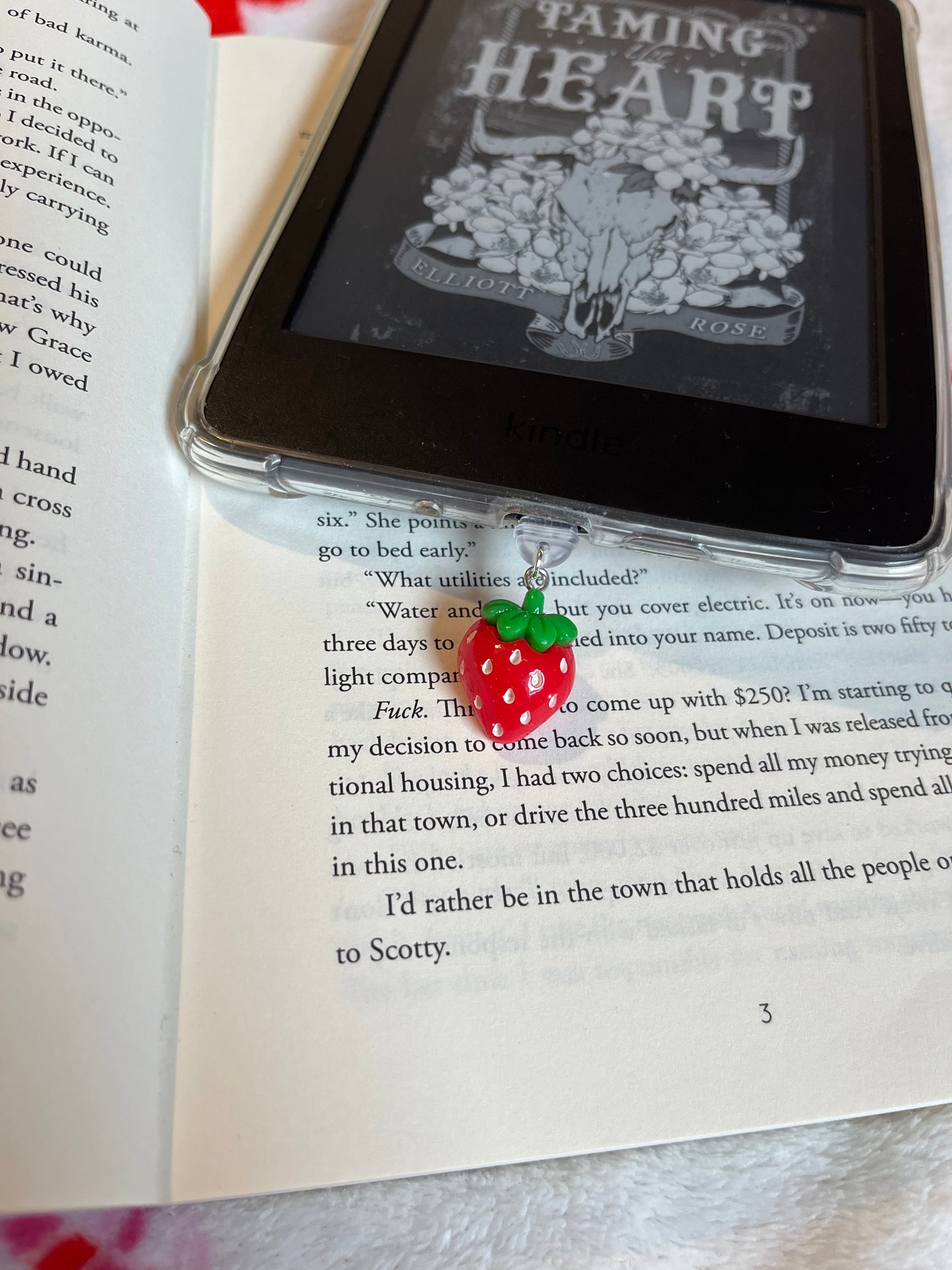 Strawberry kindle dust plug
