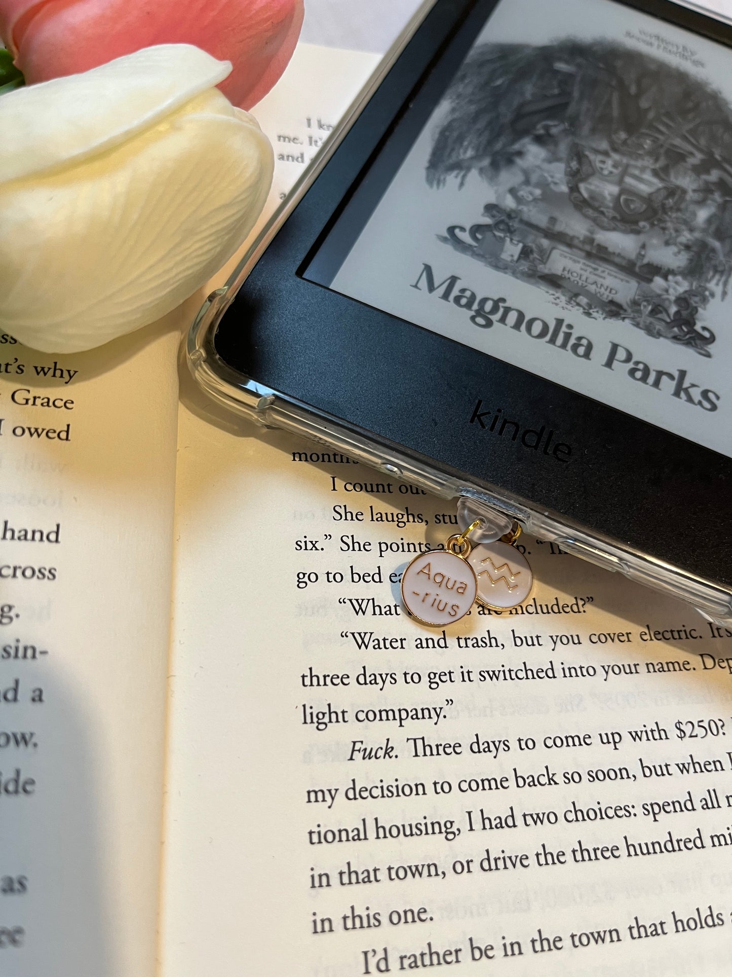 Star Sign Dust Plugs