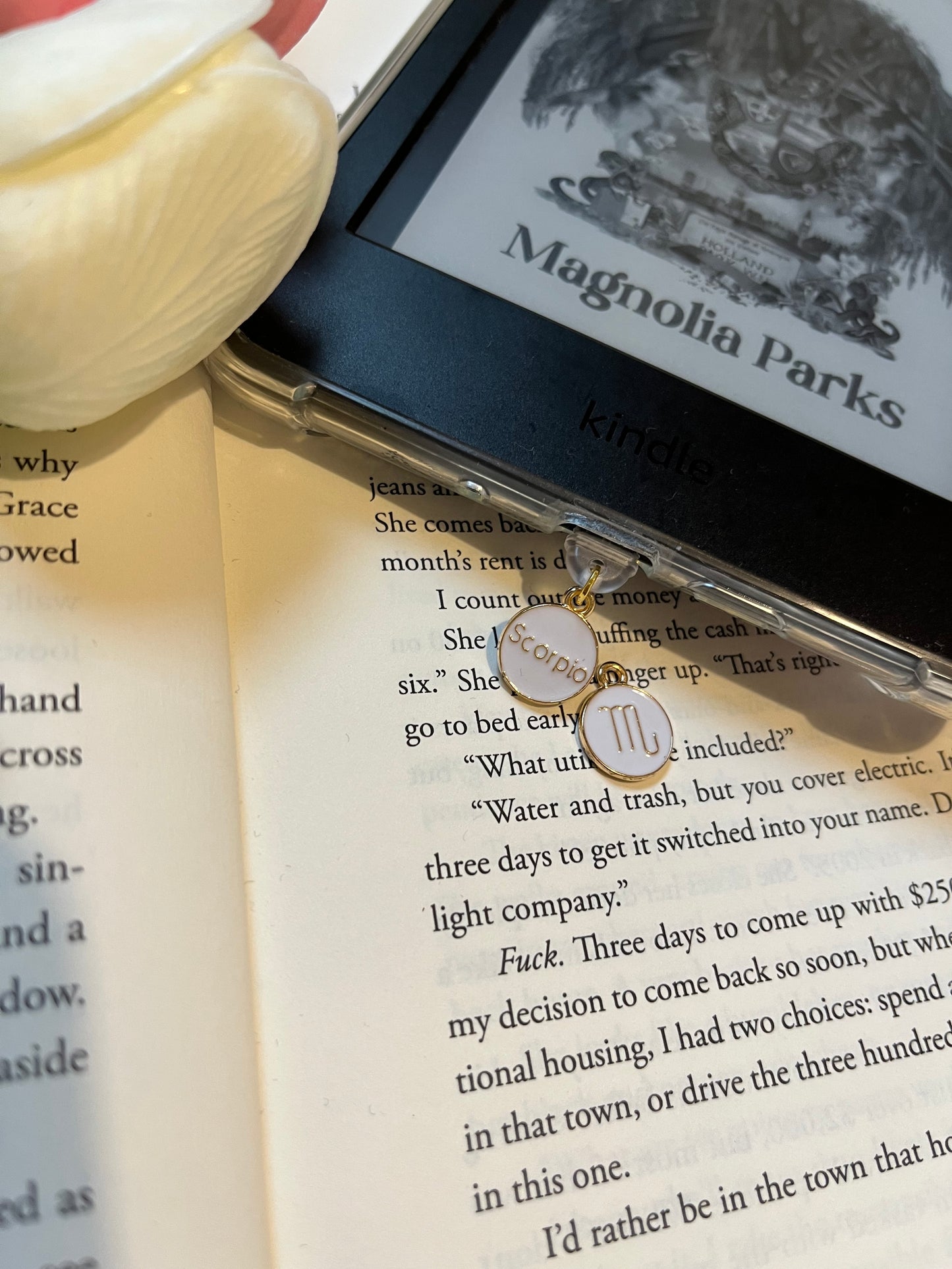 Star Sign Dust Plugs