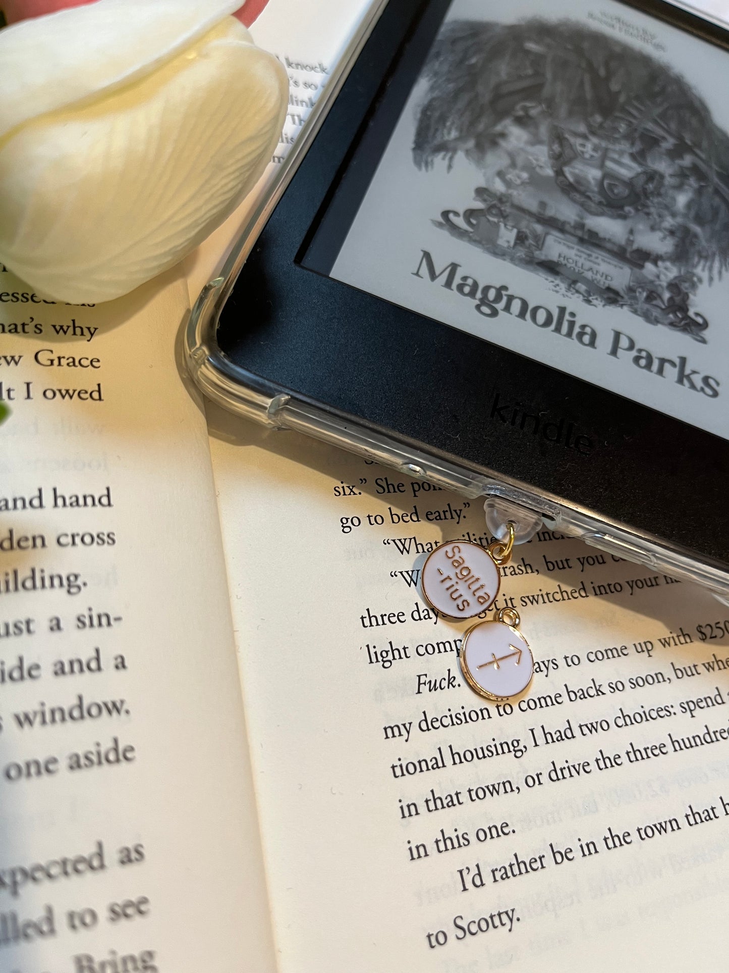 Star Sign Dust Plugs