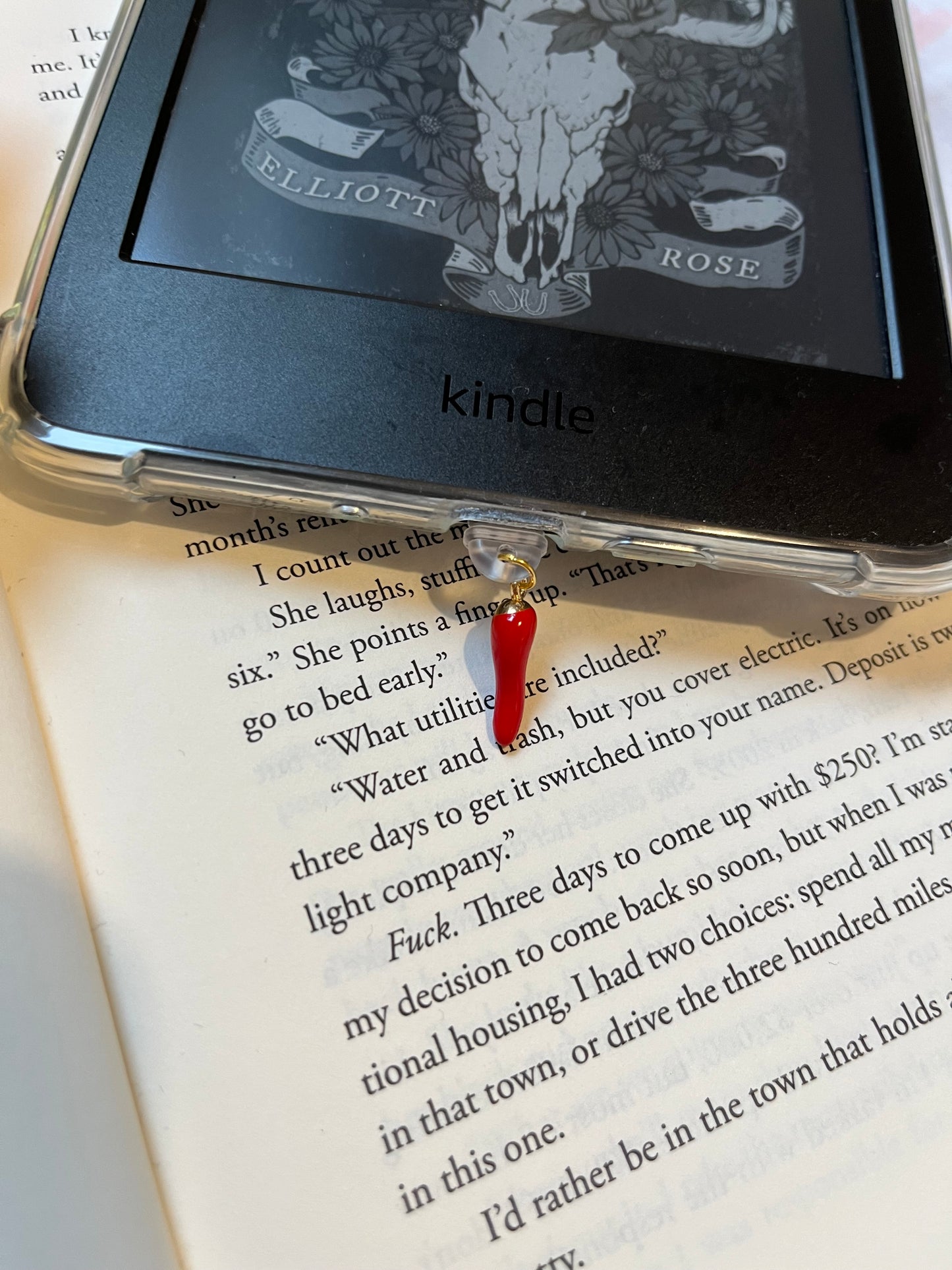 Spicy 🌶️ Dust Plug